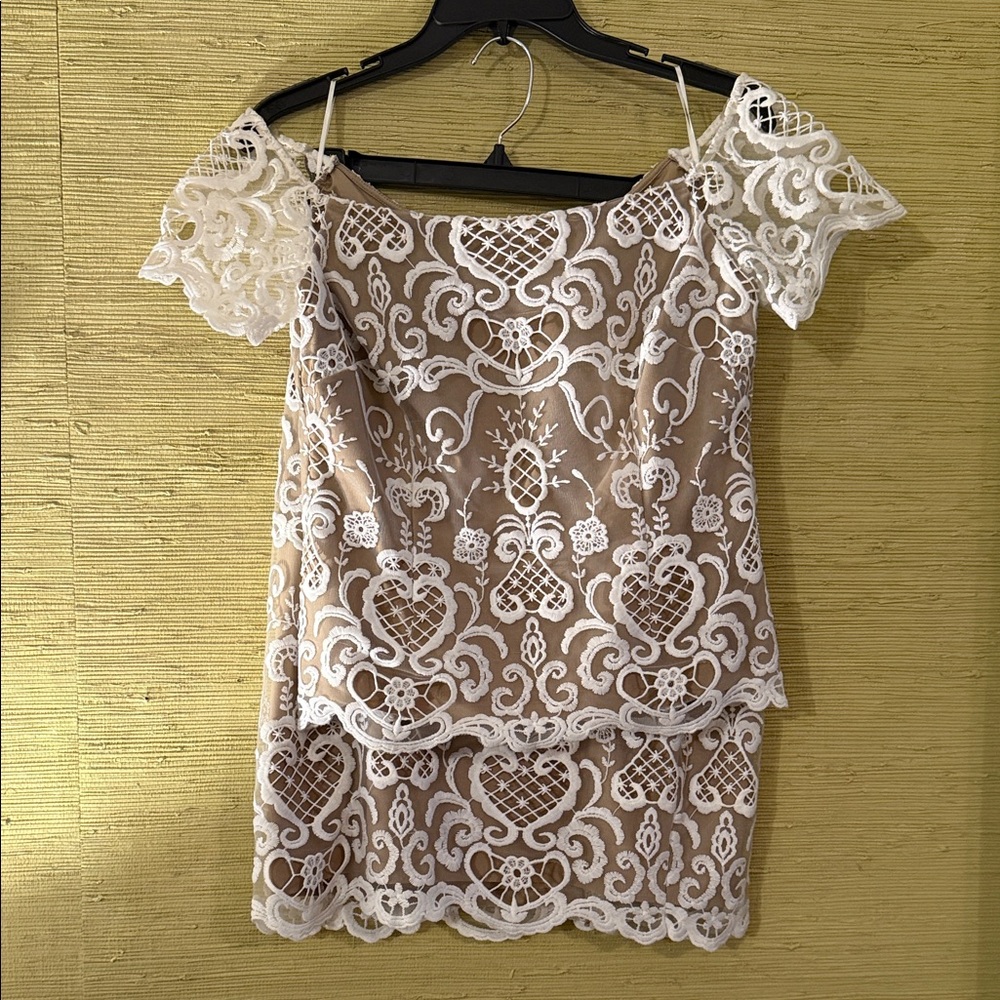Elegant Lace Overlay Skirt Set